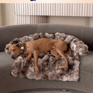 Pelsbarn Premium Sofa Bed + Extra Premium Sofa Bed