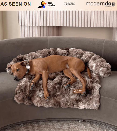 Pelsbarn Luxurious Sofa Bed + Free Extra Luxurious Sofa Bed - Image 2