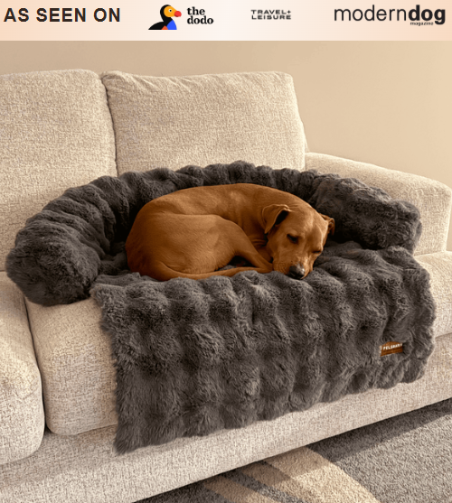 Pelsbarn Luxurious Sofa Bed + Free Extra Luxurious Sofa Bed - Image 3