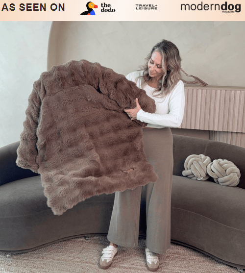 Pelsbarn Luxurious Sofa Bed + Free Extra Luxurious Sofa Bed - Image 4