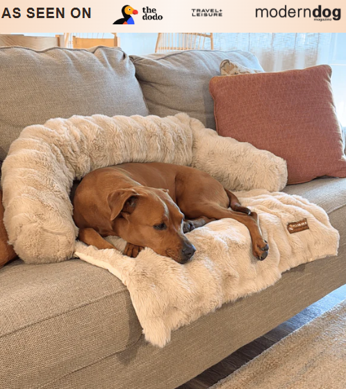 Pelsbarn Luxurious Sofa Bed + Free Extra Luxurious Sofa Bed - Image 6